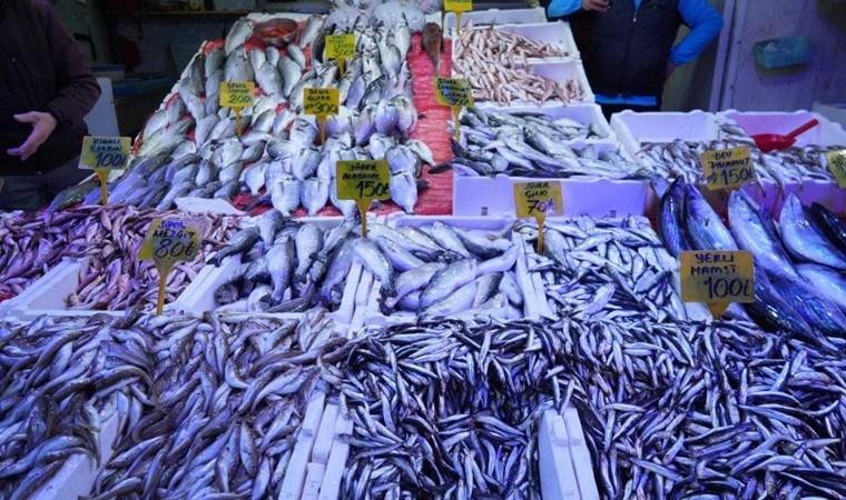 Av yasağı başlıyor ama balık tezgâhları boş kalmayacak