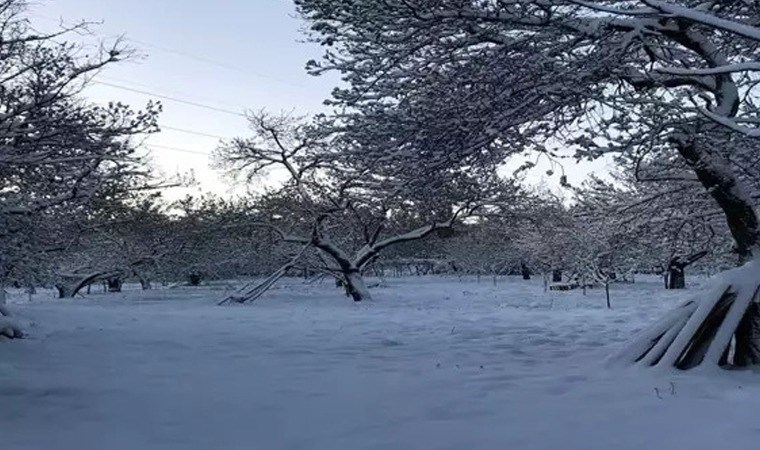 Malatya’da zirai don etkili oldu: ‘6 Şubat sonrası ikinci afet!’