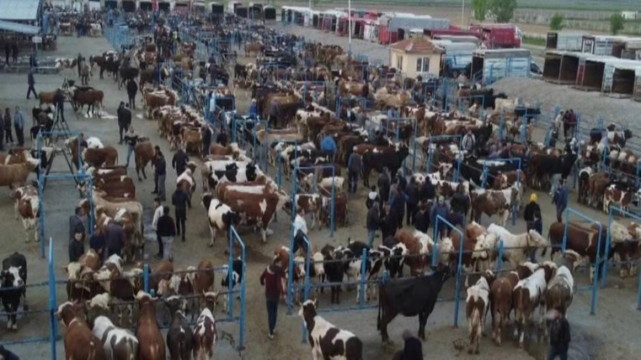 Kurbanlık fiyatları ne kadar?