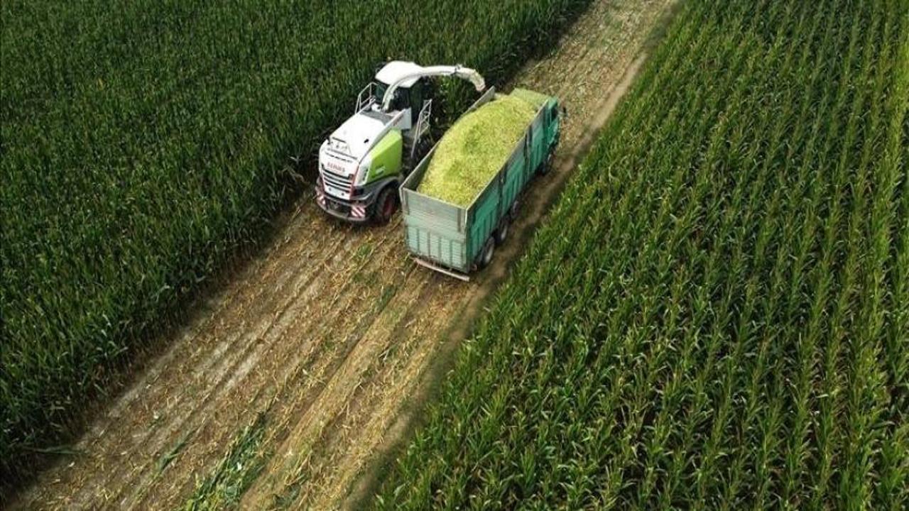 Çiftçilere yaklaşık 827 milyon lira tarımsal destekleme ödemesi yapılacak