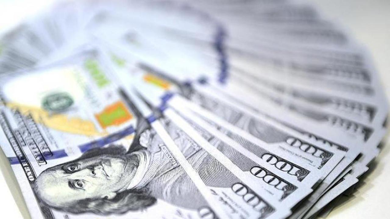 Reel efektif döviz kuru endeksi haziranda 69,97 oldu