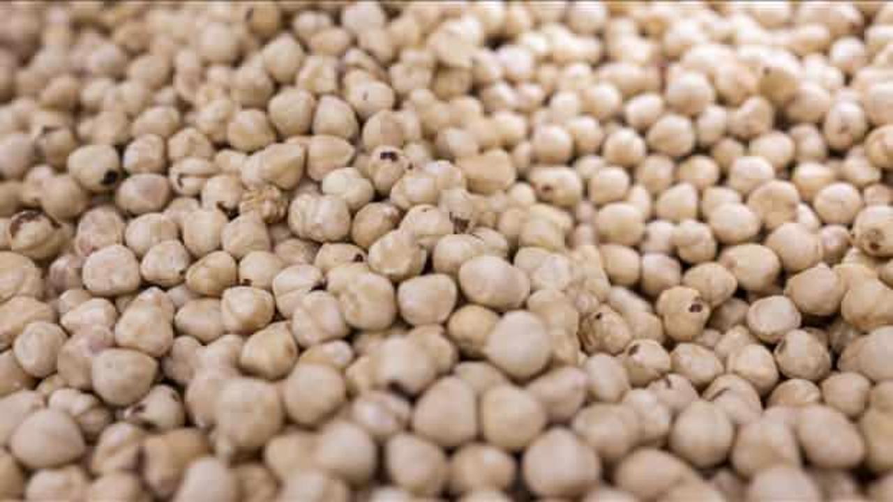 Türkiye’nin fındık ihracatının yüzde 33’ü Trabzon’dan yapıldı