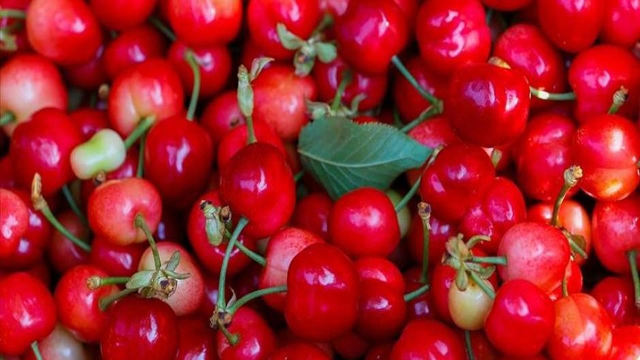 Zirai don fırsatçıları devrede! Kilosu 500-600 lirayı buluyor…