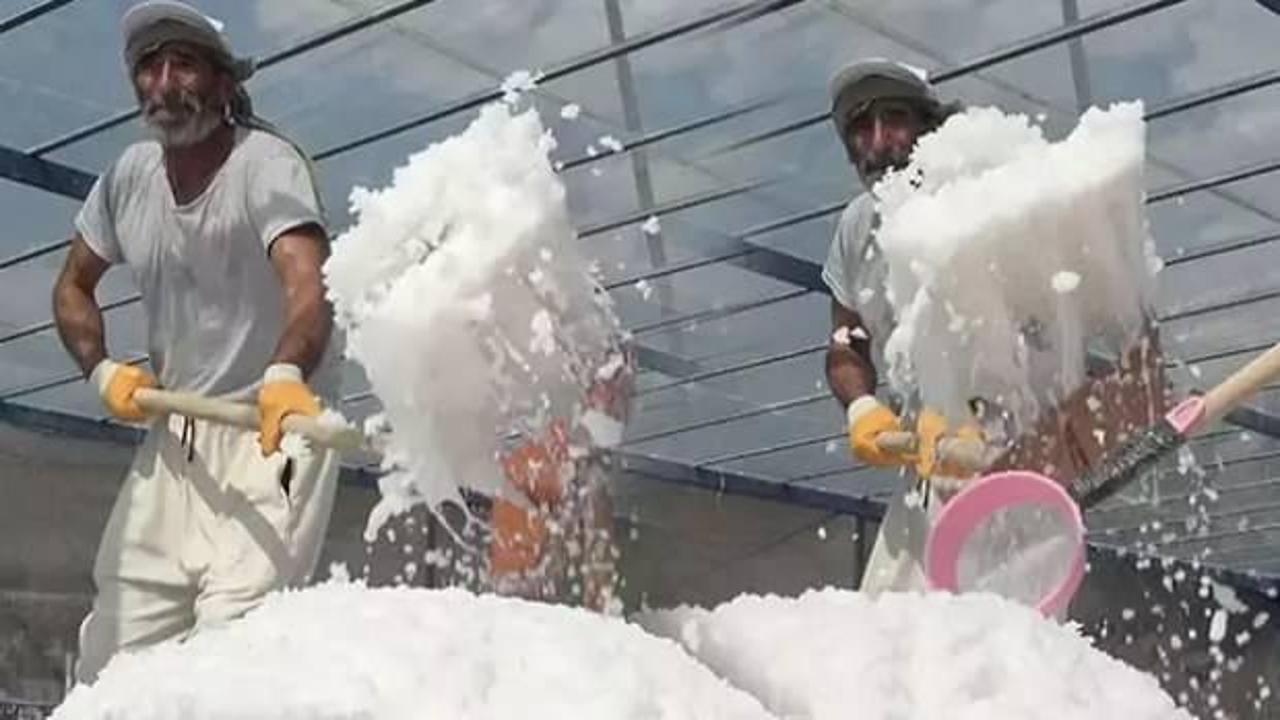 Dünyanın en sağlıklı tuzu! Sadece Türkiye’de bir köyde üretiliyor