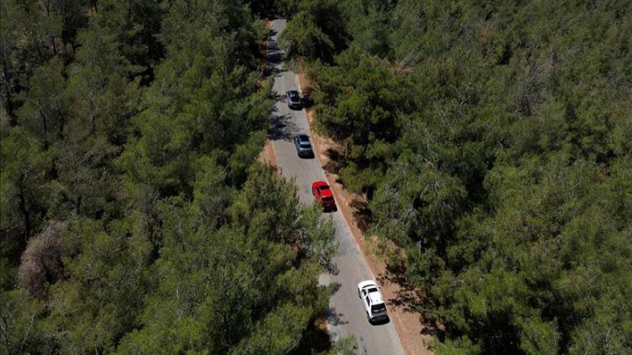 Hyundai, IONIQ ormanı projesi ile 1 milyon ağaç dikti