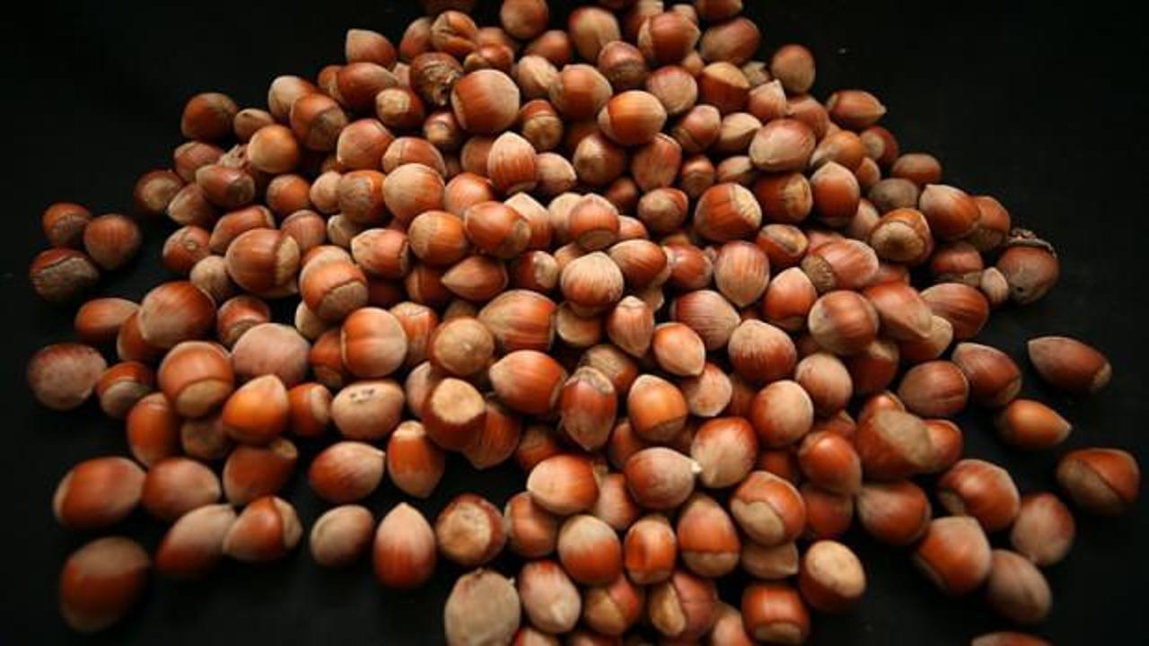 Türkiye fındık ihracatından 11 ayda 2,4 milyar doları aşkın gelir sağladı