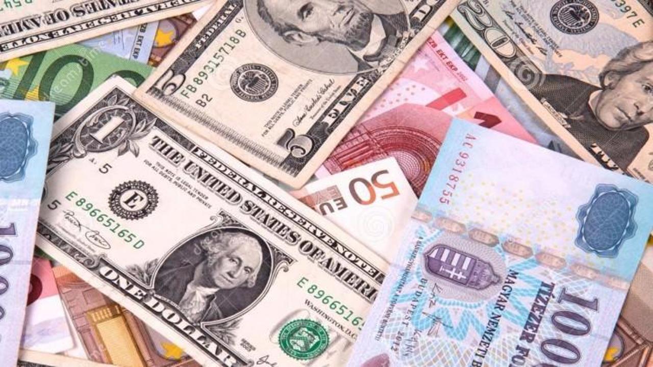 Serbest piyasada döviz açılış fiyatları