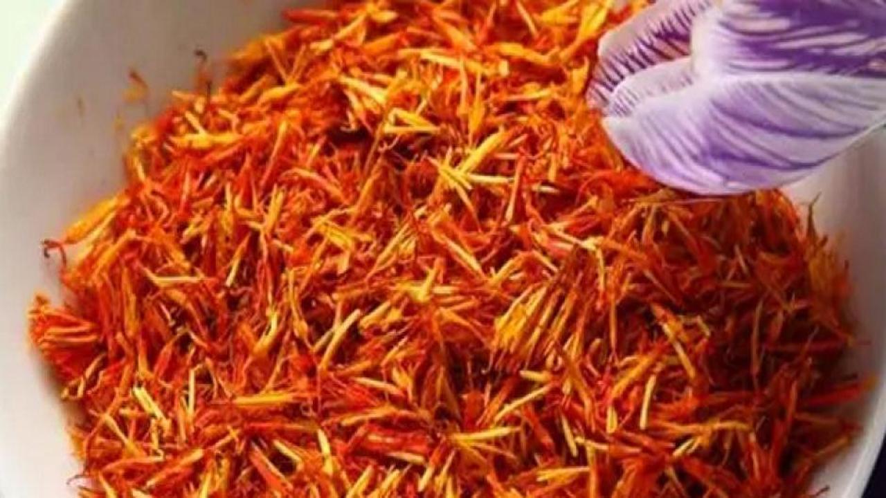 Dünyanın en pahalı baharatı! Adana’da hasat edildi Gramı tam 600 TL