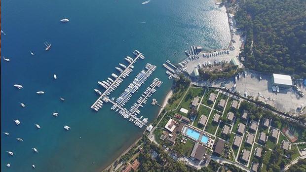 Ülker sattı, Koç aldı: Altın yumurtlayan tavuk artık Koç'un