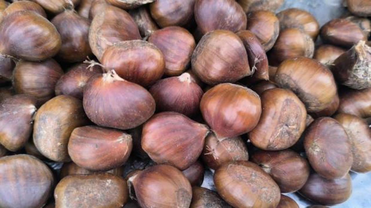 Kış sofralarının vazgeçilmezi! Kestane, fiyatıyla yüzleri güldürüyor