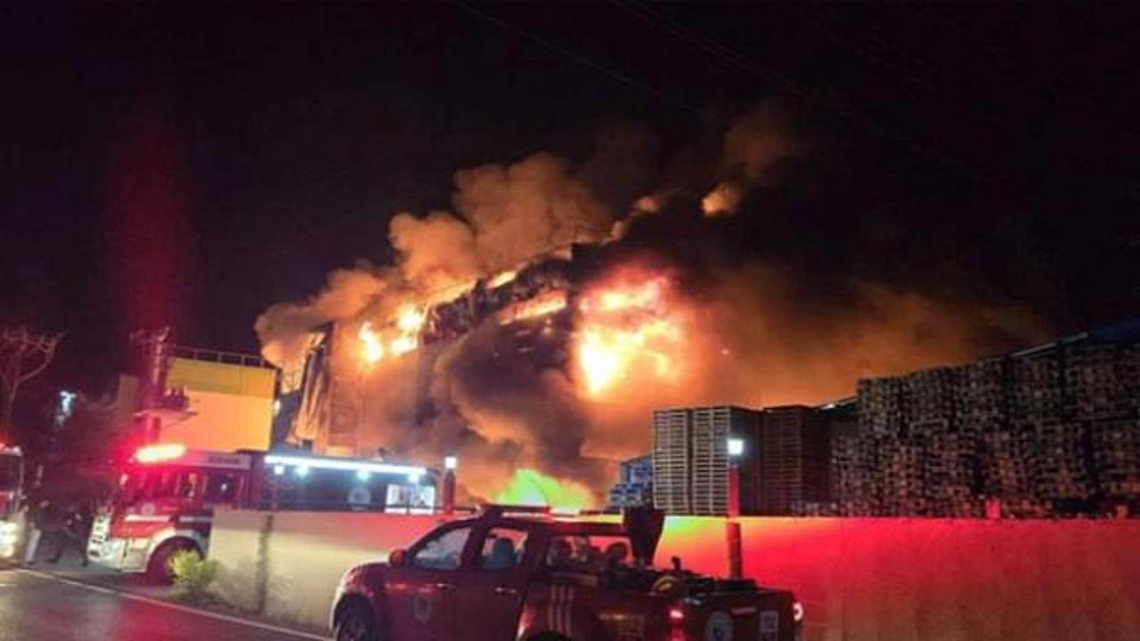 Kozmetik devi iflas etti! Fabrikası kül olmuştu