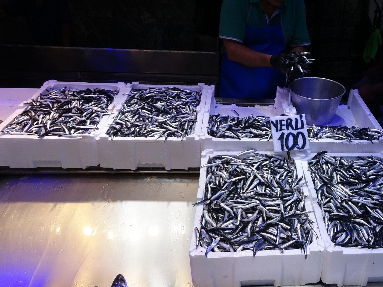 Türkiye'den 2.7 milyon dolarlık hamsi ihracatı! En çoğunu savaştaki ülke aldı