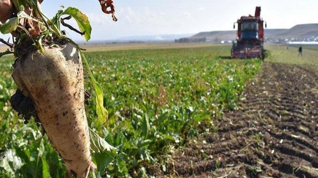 Bakanlıktan “akıllı tarım” odaklı projelere hibe desteği