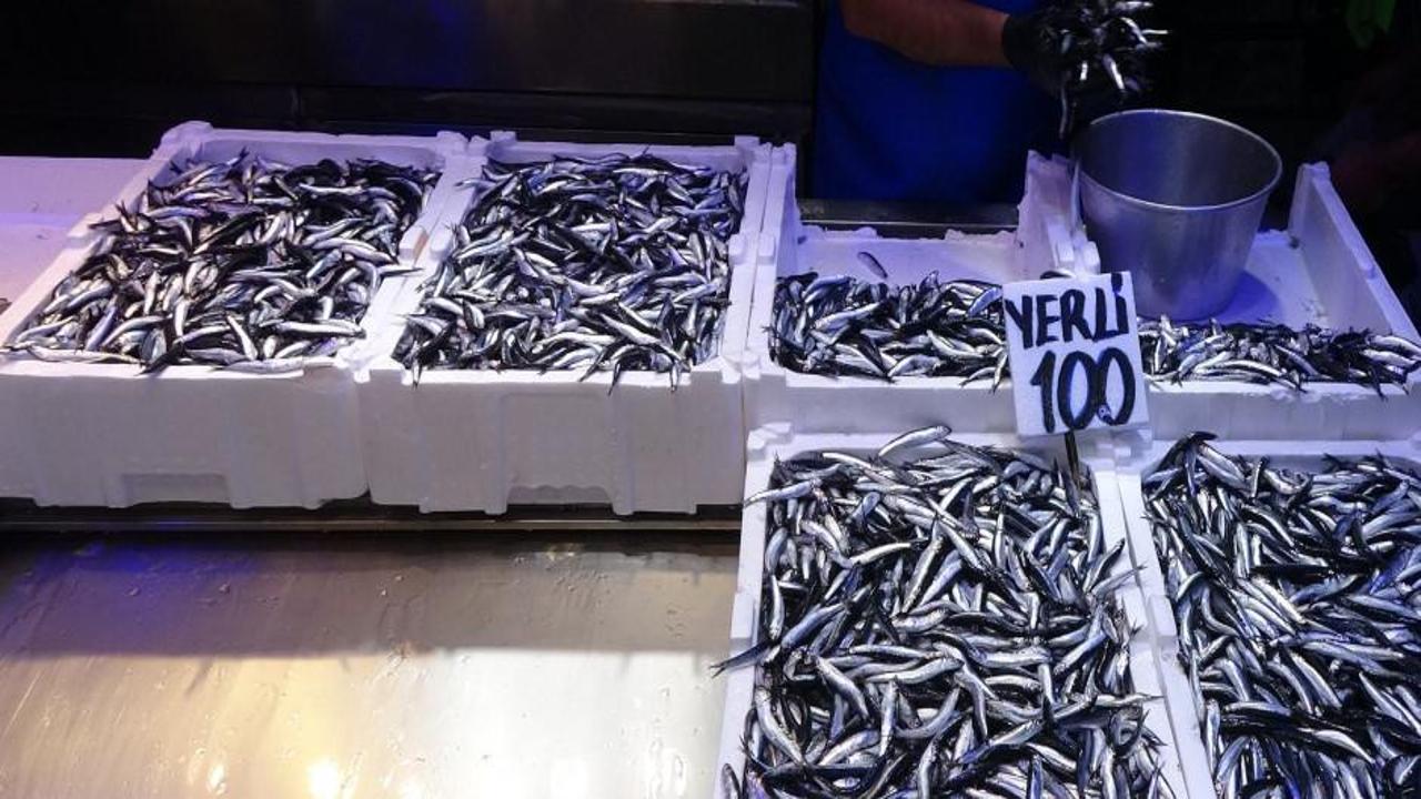 Türkiye’den 2.7 milyon dolarlık hamsi ihracatı! En çoğunu savaştaki ülke aldı