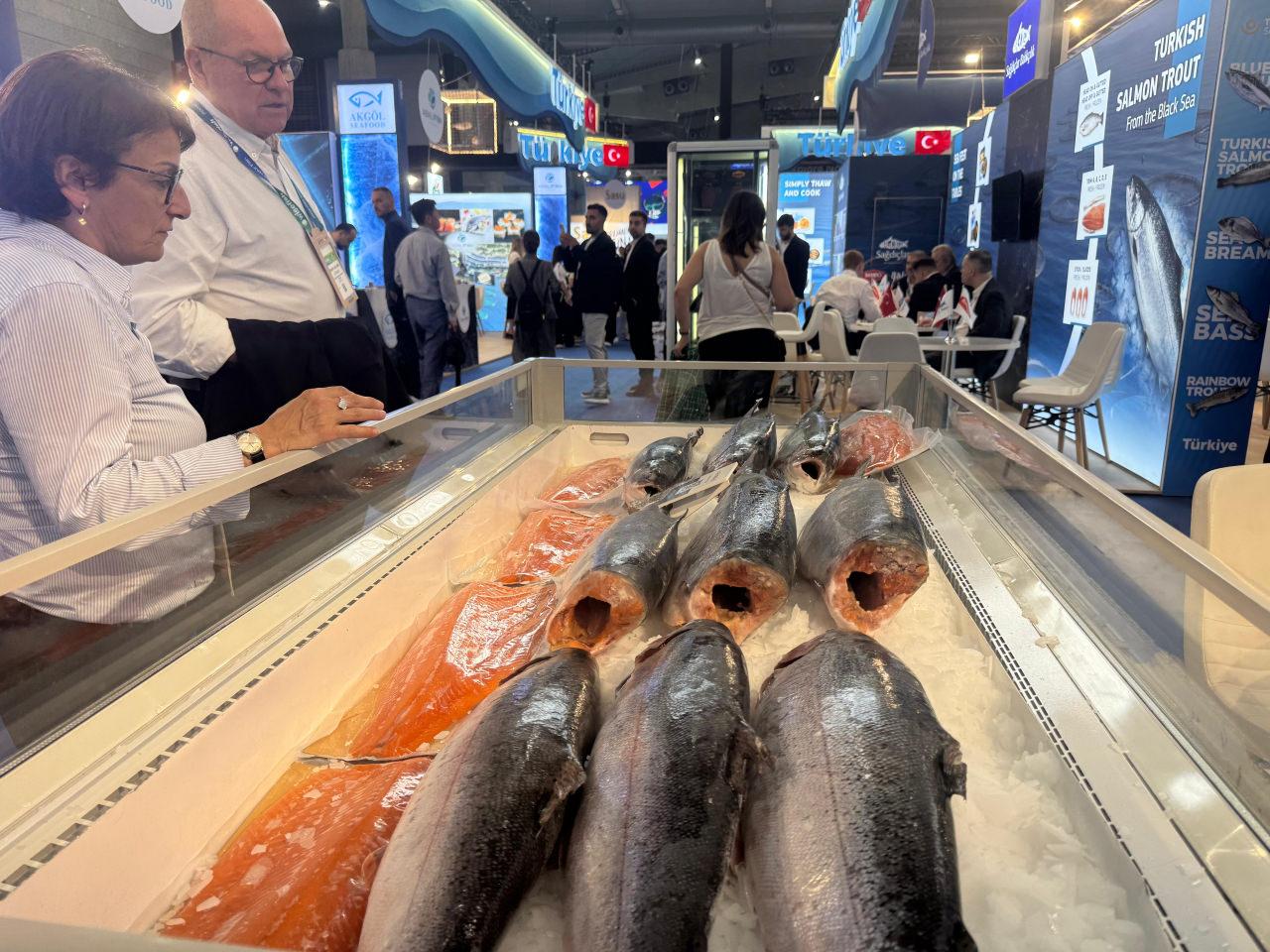 Afrika sahillerinde Türk filosu! 4 bin 500 gemiyle rekora koşuyoruz