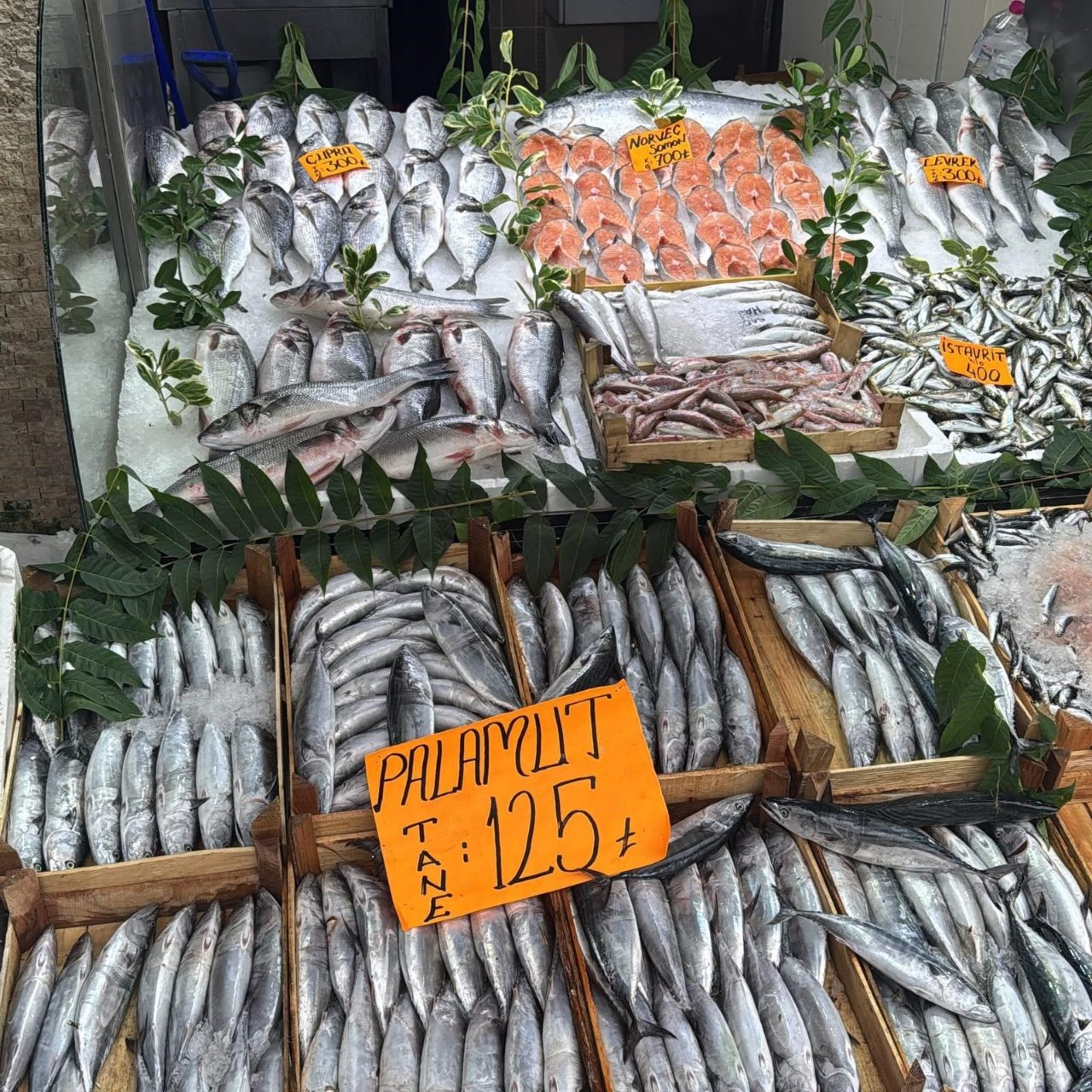 Palamutta bolluk var: Esnaf satıştan, vatandaş fiyattan memnun