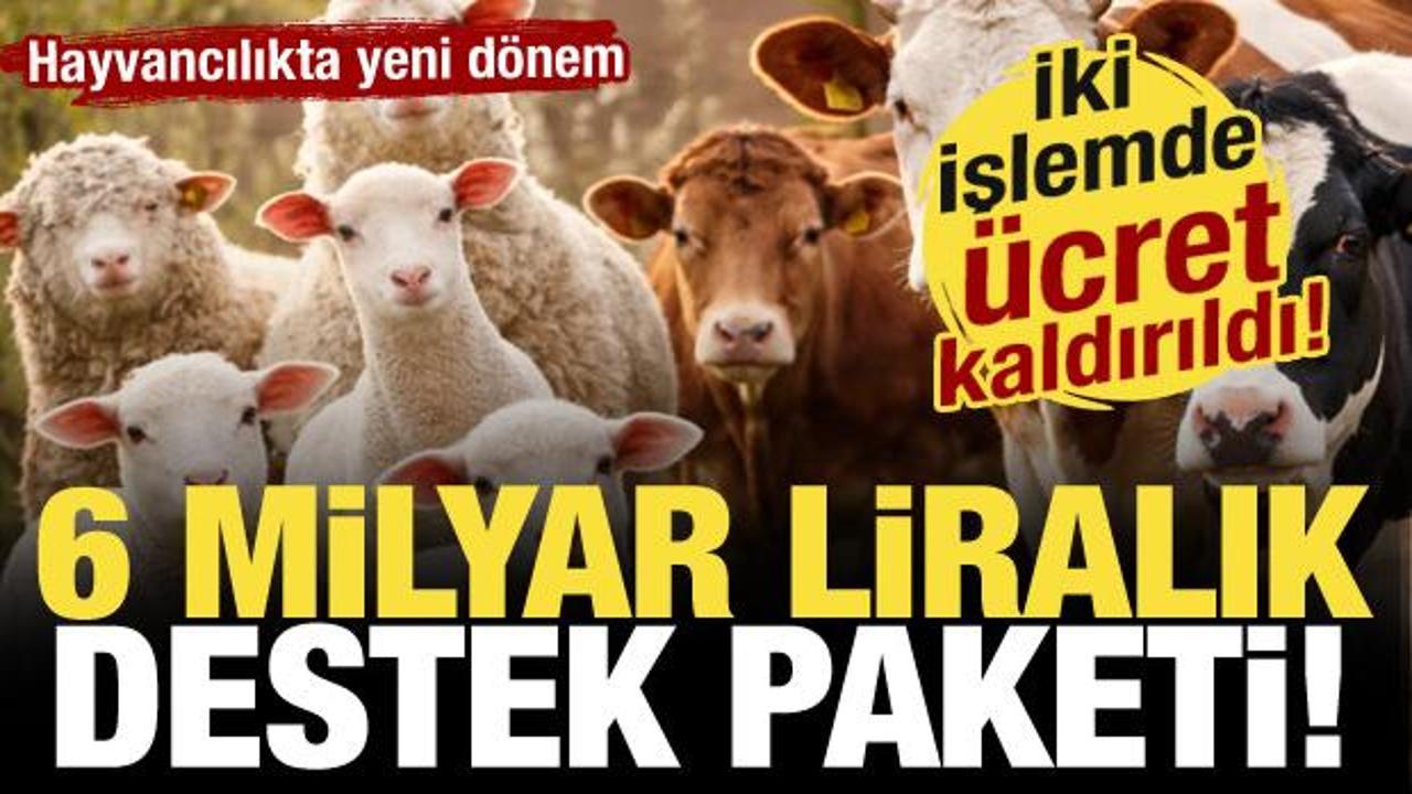 Bakan Yumaklı duyurdu: Yetiştiricilerden aşı ve kimliklendirme ücreti artık alınmayacak!